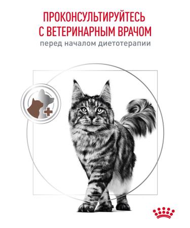 Royal Canin Dry food for cats GastroinTestinal Therapeutic 350 g - Buy Online on GoSupps.com