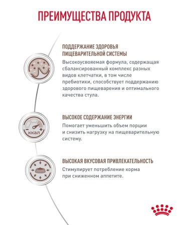 Royal Canin Dry food for cats GastroinTestinal Therapeutic 350 g - Buy Online on GoSupps.com