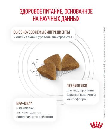 Royal Canin Dry food for cats GastroinTestinal Therapeutic 350 g - Buy Online on GoSupps.com