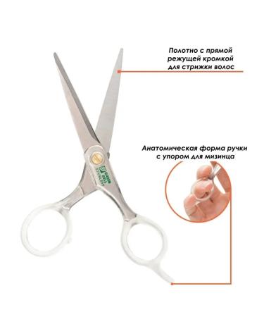 Green Bell Hairdressing scissors for haircut professional - Buy Online on GoSupps.com