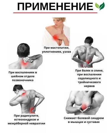 POLESLESOM Ointment from osteochondrosis muscle and articular pain 100ml PSL - Buy Online on GoSupps.com