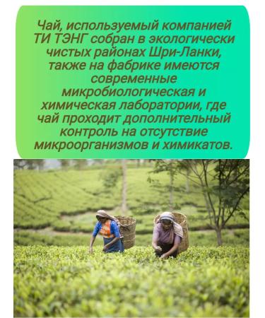 Tea Tang Gift Tag Gift Green in a metal jar - Buy Online on GoSupps.com