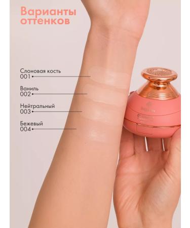 Bogenia Cushon tonal ss cream - Buy Online on GoSupps.com