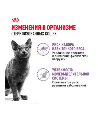 ROYAL CANIN Wet sterilized feed sterilized cats jelly 85 g 10pcs - Buy Online on GoSupps.com