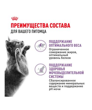ROYAL CANIN Wet sterilized feed sterilized cats jelly 85 g 10pcs - Buy Online on GoSupps.com