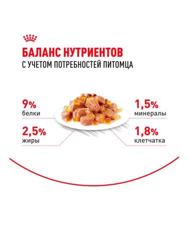 ROYAL CANIN Wet sterilized feed sterilized cats jelly 85 g 10pcs - Buy Online on GoSupps.com