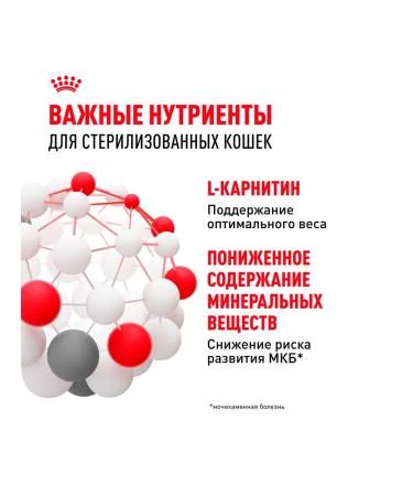 ROYAL CANIN Wet sterilized feed sterilized cats jelly 85 g 10pcs - Buy Online on GoSupps.com