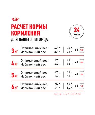 ROYAL CANIN Wet sterilized feed sterilized cats jelly 85 g 10pcs - Buy Online on GoSupps.com