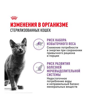 ROYAL CANIN Wet sterilated feed sterilized cats sauce 85 g 10pcs - Buy Online on GoSupps.com