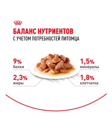 ROYAL CANIN Wet sterilated feed sterilized cats sauce 85 g 10pcs - Buy Online on GoSupps.com