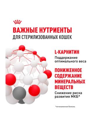 ROYAL CANIN Wet sterilated feed sterilized cats sauce 85 g 10pcs - Buy Online on GoSupps.com