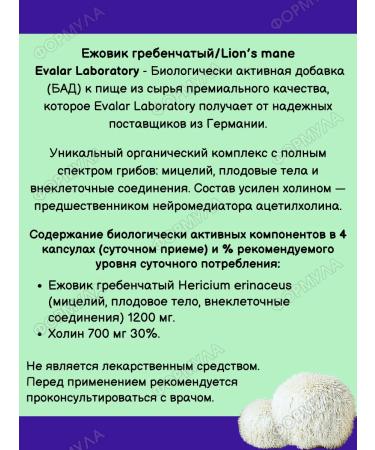 Evalar Cluscular hedgehog for improving the brain of 60kaps*1UP - Buy Online on GoSupps.com