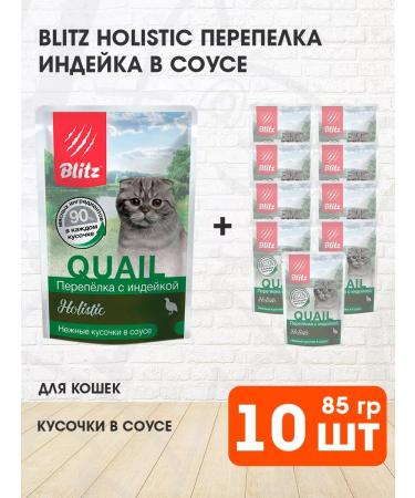 BLITZ Wet feed Holistic for cats quail turkey 85 g 10 pcs