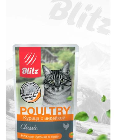 BLITZ Wet Classic food for cats chicken turkey 85 g 8 pcs - Buy Online on GoSupps.com