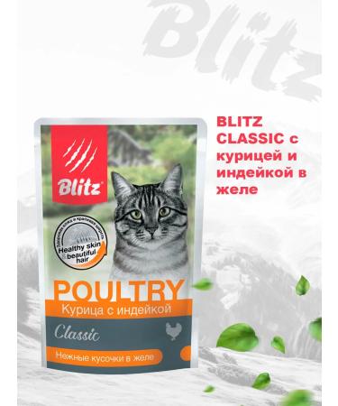 BLITZ Wet Classic food for cats chicken turkey 85 g 8 pcs - Buy Online on GoSupps.com