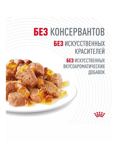 ROYAL CANIN Wet feed Hair & Skin Care for cats in jelly 85 g 5 pcs - Buy Online on GoSupps.com