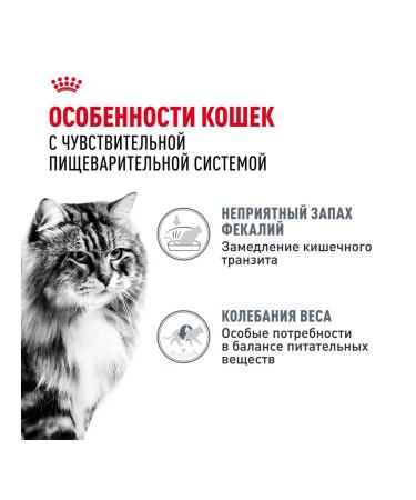 ROYAL CANIN Wet digest car for cats in sauce 85 g 10 pcs - Buy Online on GoSupps.com