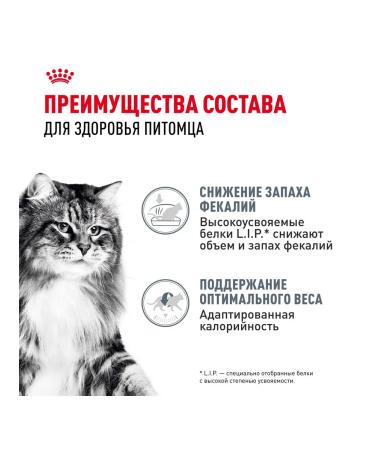 ROYAL CANIN Wet digest car for cats in sauce 85 g 10 pcs - Buy Online on GoSupps.com