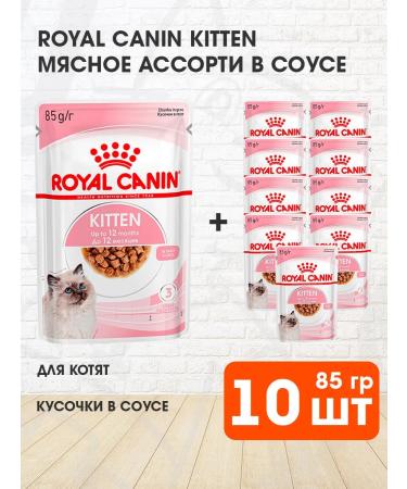 ROYAL CANIN Wet Kitten food for kittens in sauce 85 g 10 pcs