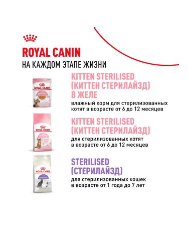 ROYAL CANIN Wet Kitten food for kittens in sauce 85 g 10 pcs - Buy Online on GoSupps.com