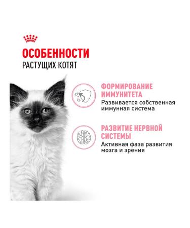 ROYAL CANIN Wet Kitten food for kittens in sauce 85 g 10 pcs - Buy Online on GoSupps.com