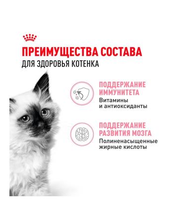 ROYAL CANIN Wet Kitten food for kittens in sauce 85 g 10 pcs - Buy Online on GoSupps.com
