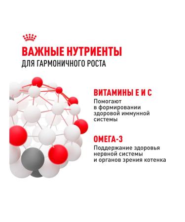 ROYAL CANIN Wet Kitten food for kittens in sauce 85 g 10 pcs - Buy Online on GoSupps.com