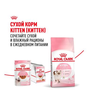 ROYAL CANIN Wet Kitten food for kittens in sauce 85 g 10 pcs - Buy Online on GoSupps.com