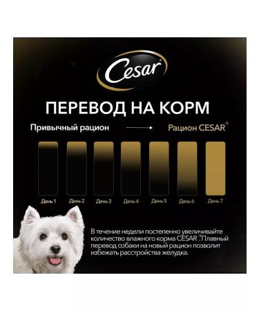 CESAR Dog feed small wet hot with a duck 85 g 5 pcs - Buy Online on GoSupps.com