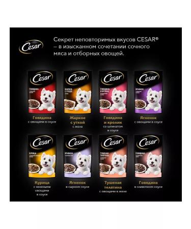 CESAR Dog feed small wet hot with a duck 85 g 5 pcs - Buy Online on GoSupps.com