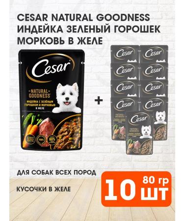 CESAR Wet feed for dogs turkey in jelly 80 g 10 pcs