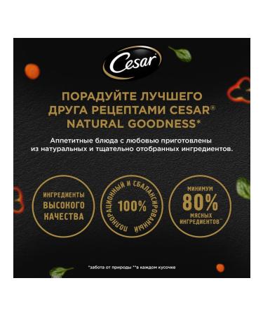 CESAR Wet feed for dogs turkey in jelly 80 g 10 pcs - Buy Online on GoSupps.com