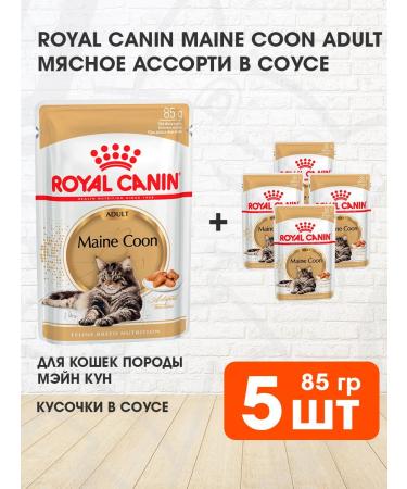 ROYAL CANIN Wet feed Main Coon for cats Maine Kun 85 g 5pcs