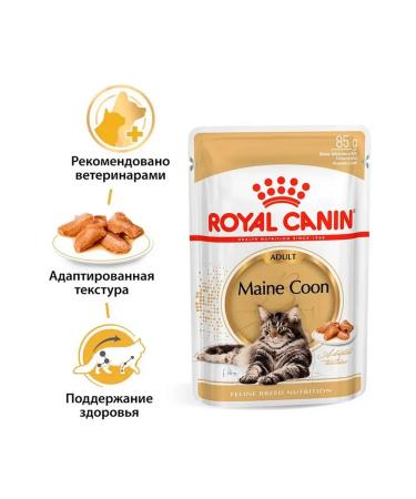 ROYAL CANIN Wet feed Main Coon for cats Maine Kun 85 g 5pcs - Buy Online on GoSupps.com
