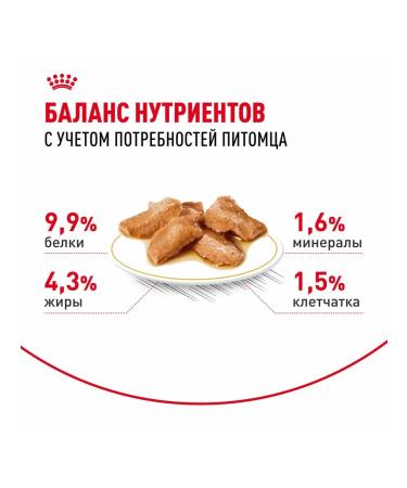 ROYAL CANIN Wet feed Main Coon for cats Maine Kun 85 g 5pcs - Buy Online on GoSupps.com