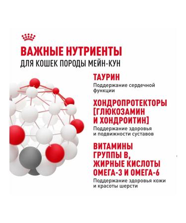 ROYAL CANIN Wet feed Main Coon for cats Maine Kun 85 g 5pcs - Buy Online on GoSupps.com