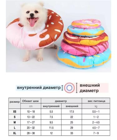 Dog60 Veterinary mobile collar for cats and dogs - Buy Online on GoSupps.com