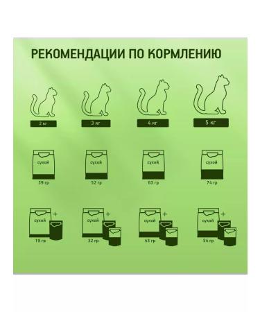 Kitekat Dry food for cats appetizing chicken 800g - Buy Online on GoSupps.com