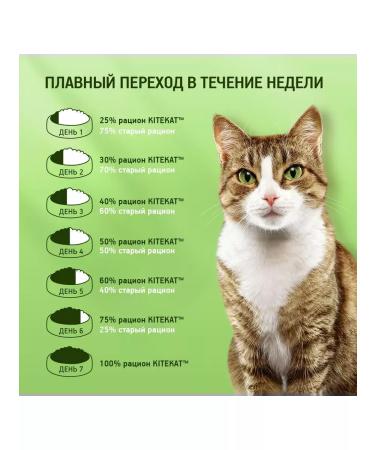 Kitekat Dry food for cats appetizing chicken 800g - Buy Online on GoSupps.com