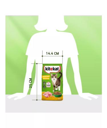 Kitekat Dry food for cats appetizing chicken 800g - Buy Online on GoSupps.com