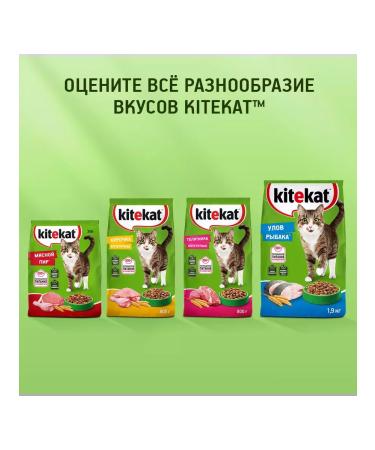 Kitekat Dry food for adult cats meat feast 800g - Buy Online on GoSupps.com