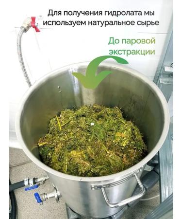 CANNABRO Hemp Body and Hair Milk - Buy Online on GoSupps.com