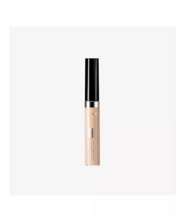 Beautiwom Adaptive concealer The One cold porcelain - Buy Online on GoSupps.com