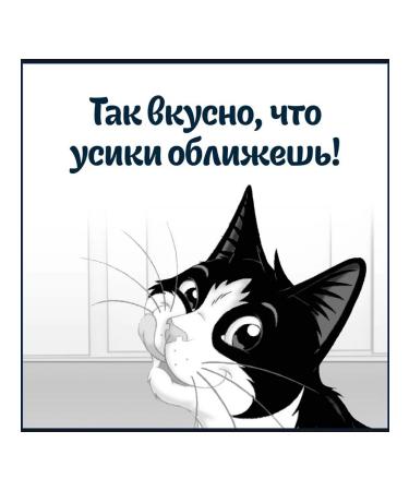 FELIX Wet feed Sensations for cats turkey bacon 75 g 10 pcs - Buy Online on GoSupps.com