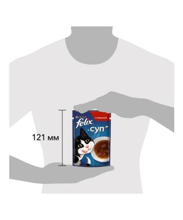 FELIX Feed Wet soup for cats beef sauce 48 g 4 pcs - Buy Online on GoSupps.com