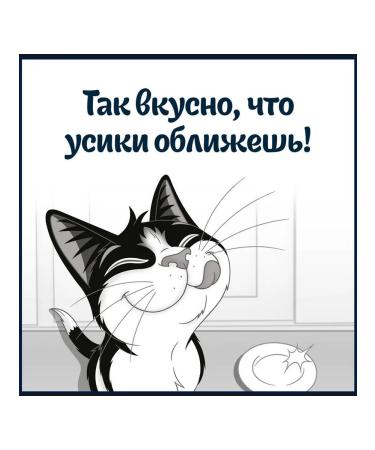 FELIX Feed Wet soup for cats beef sauce 48 g 4 pcs - Buy Online on GoSupps.com