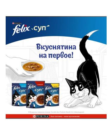 FELIX Feed Wet soup for cats beef sauce 48 g 4 pcs - Buy Online on GoSupps.com