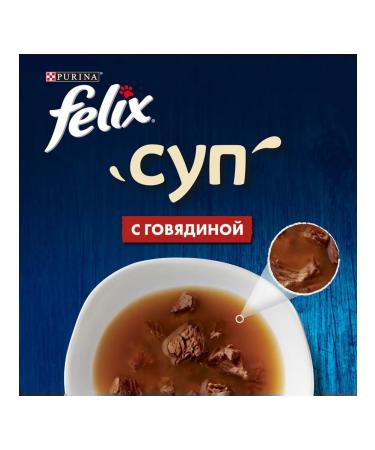 FELIX Feed Wet soup for cats beef sauce 48 g 8 pcs - Buy Online on GoSupps.com