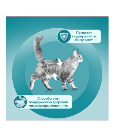 PURINA ONE Wet food for sterilized cats of beef 75 g 5 pcs - Buy Online on GoSupps.com