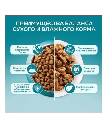 PURINA ONE Feed for cats wet with a pierced turkey duck 75 g 5 pcs - Buy Online on GoSupps.com